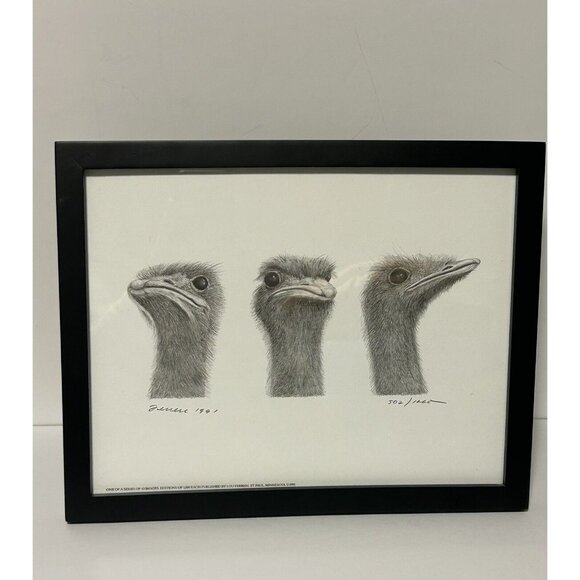 Lou Ferreri Ostriches Print Signed 1991 Edition 502/1000 St Paul Mn Black Frame - Picture 1 of 10